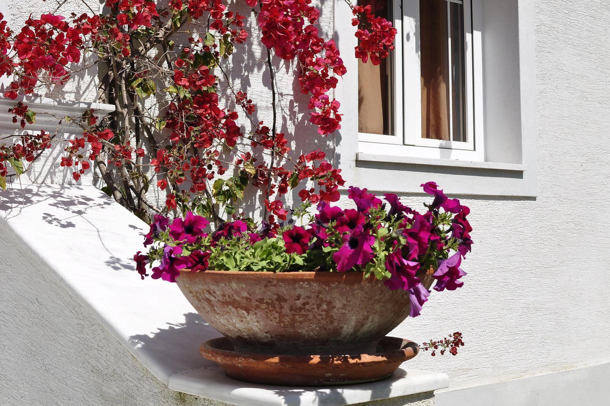 Corfu Anastasia Kontokali Ngoại thất bức ảnh