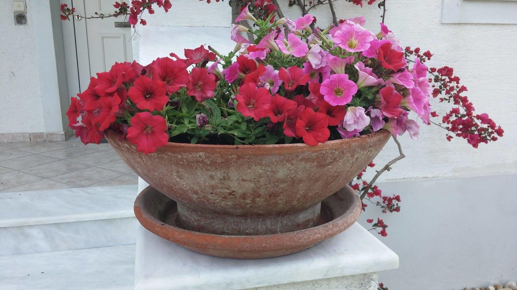 Corfu Anastasia Kontokali Ngoại thất bức ảnh